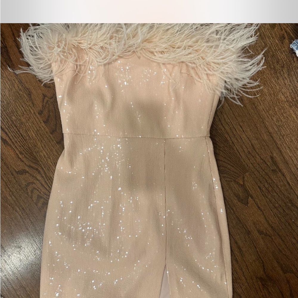 Amanda richard Eleni dress Elegant Feathered Sequin Dress. Never worn .